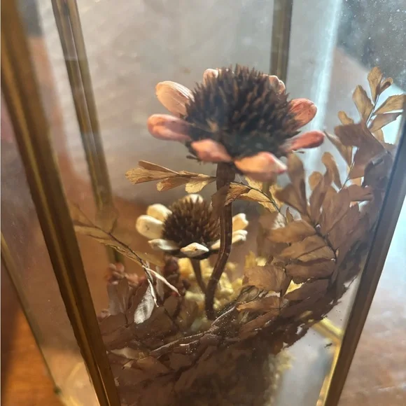 Dried Floral Vintage Chic Gold Case Persevered Flowers So Unique Final Sale